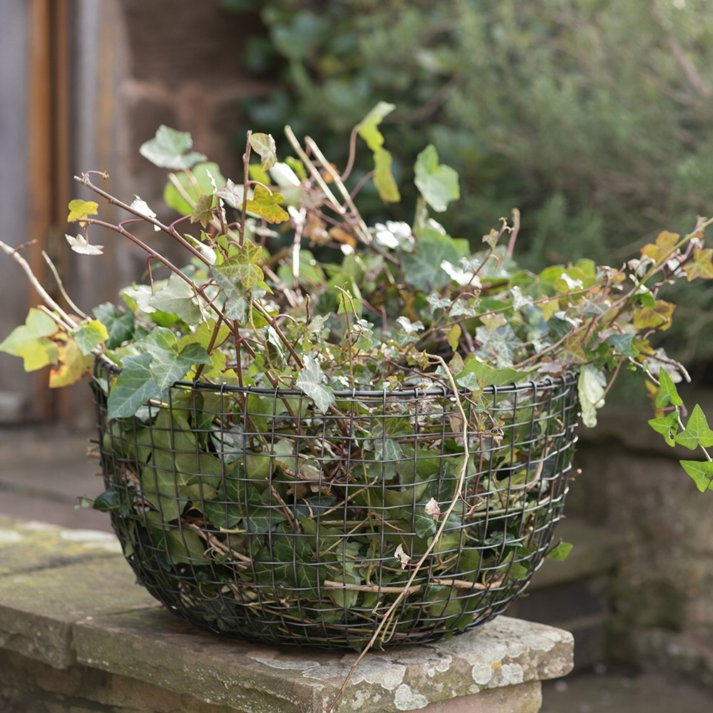 Multi purpose basket