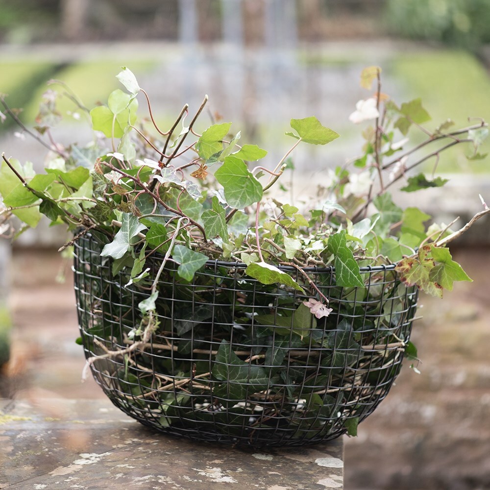 Multi purpose basket