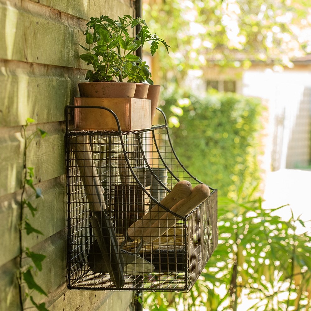 Product options image