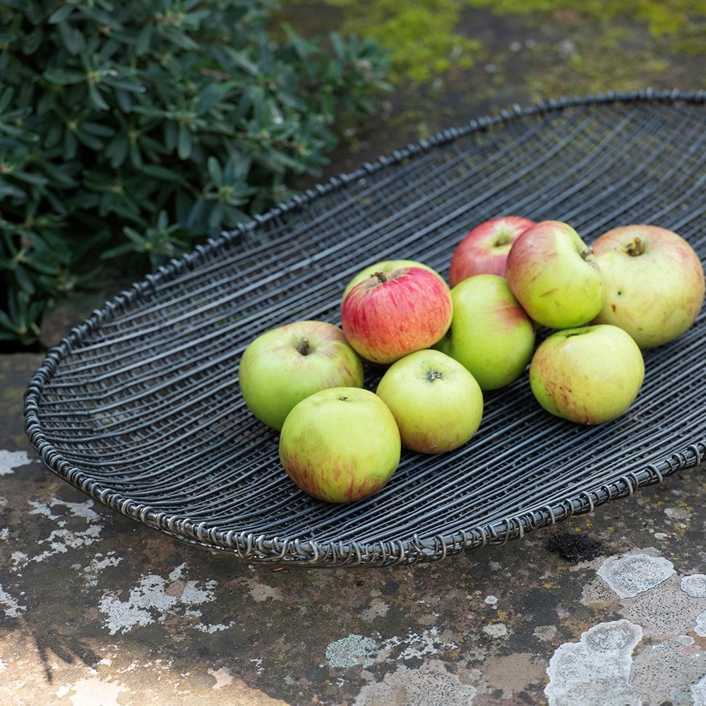 Product options image