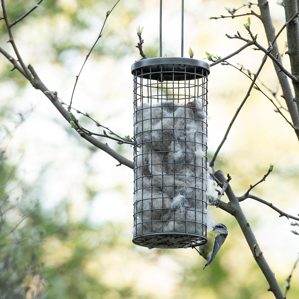 Product options image