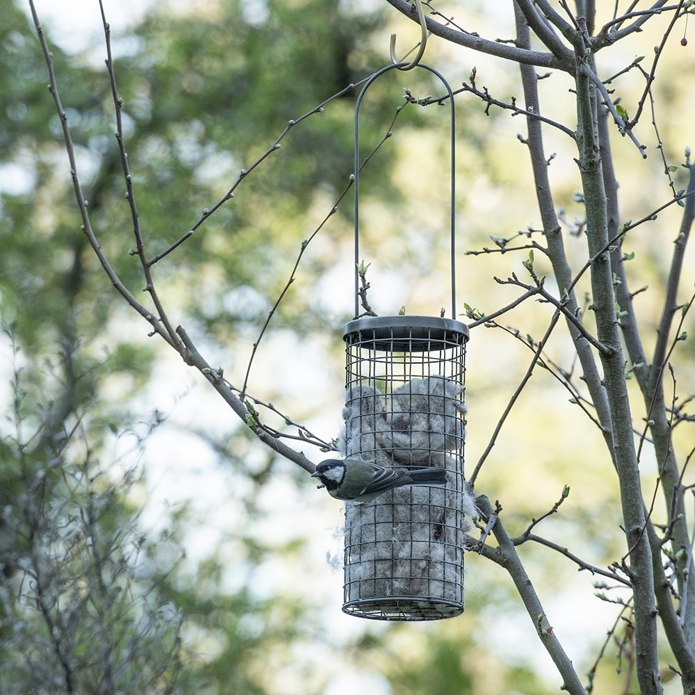 Wool bedding dispenser for birds