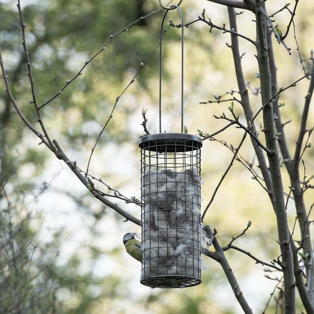 Wool bedding dispenser for birds