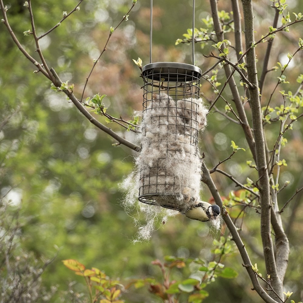 Wool bedding dispenser for birds