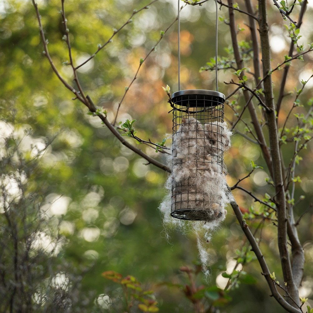 Wool bedding dispenser for birds