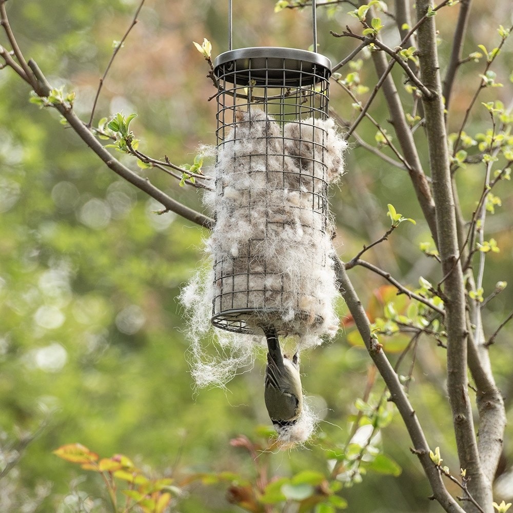 Wool bedding dispenser for birds
