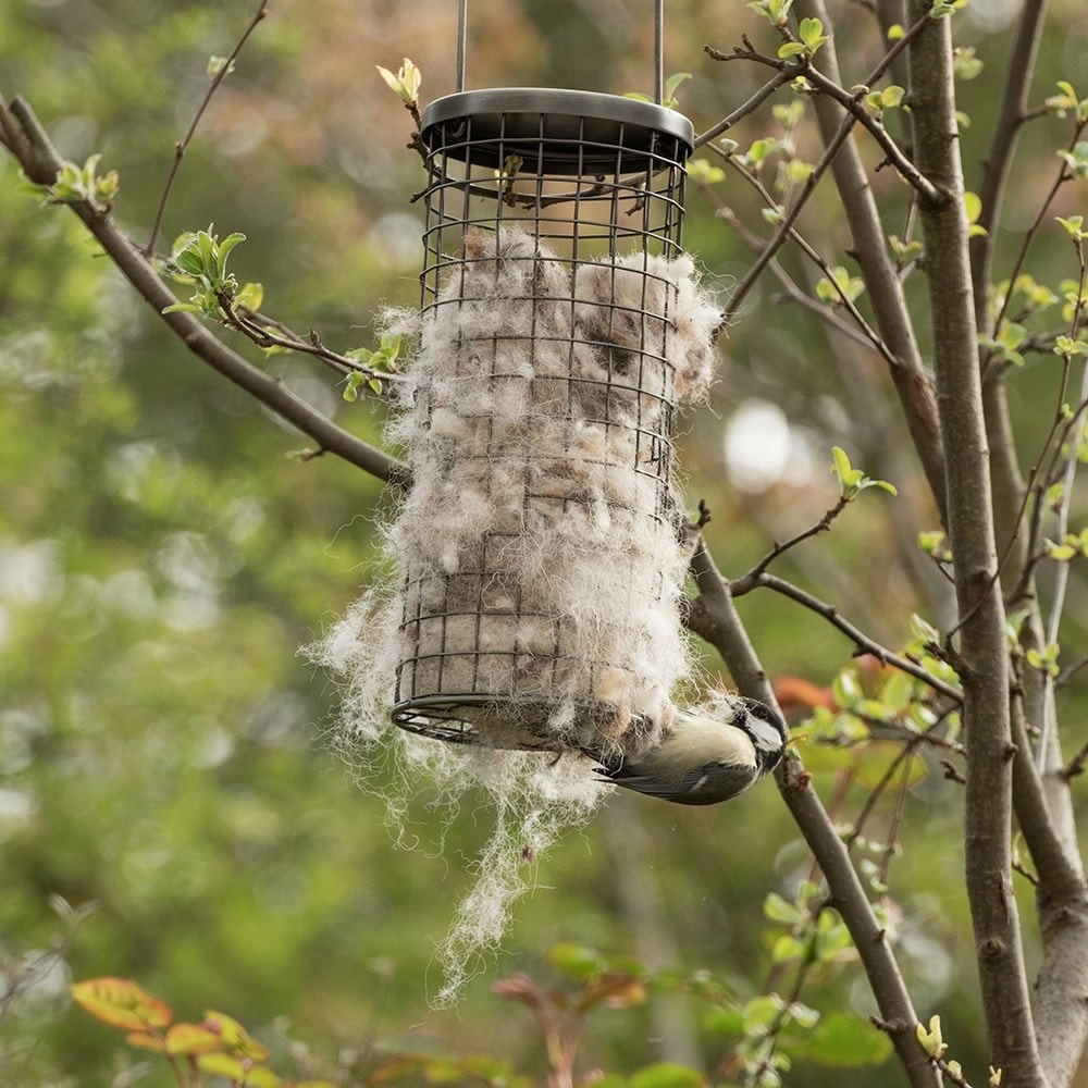 Wool bedding dispenser for birds