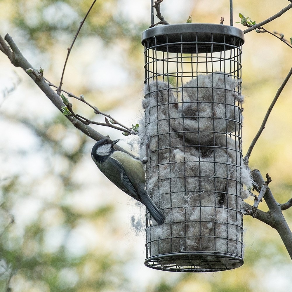 Wool bedding dispenser for birds