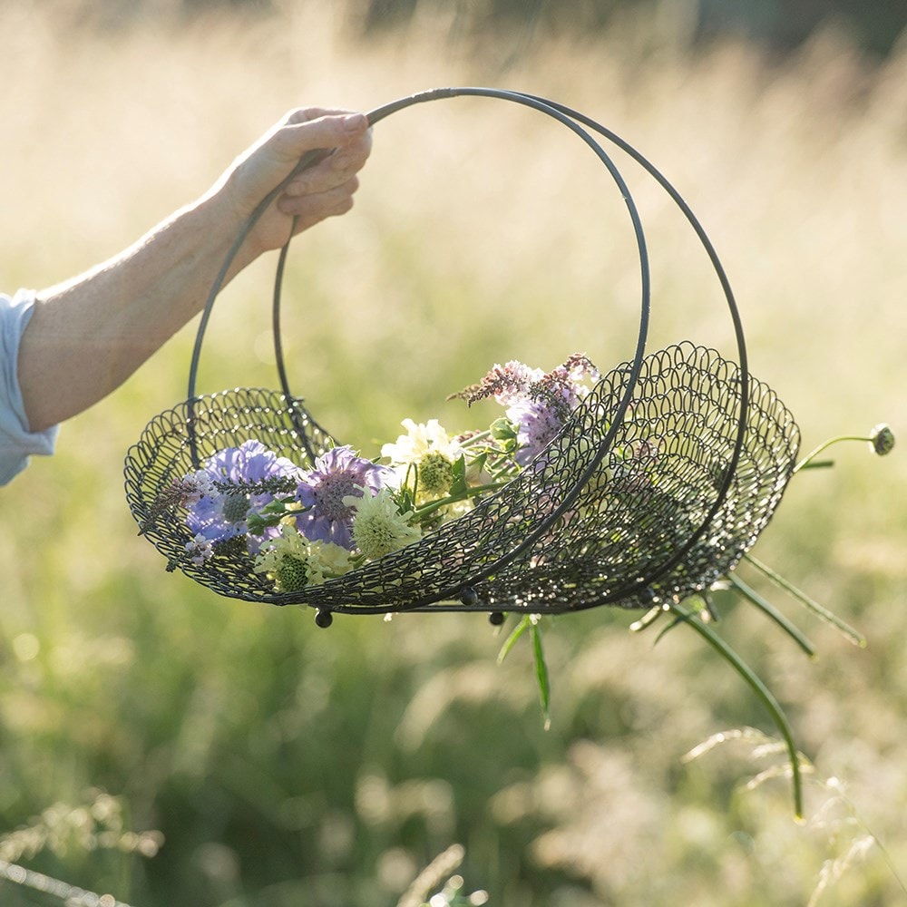 Product options image