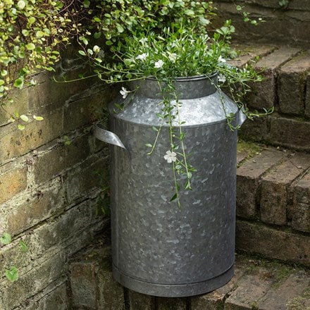 Dairy pot
