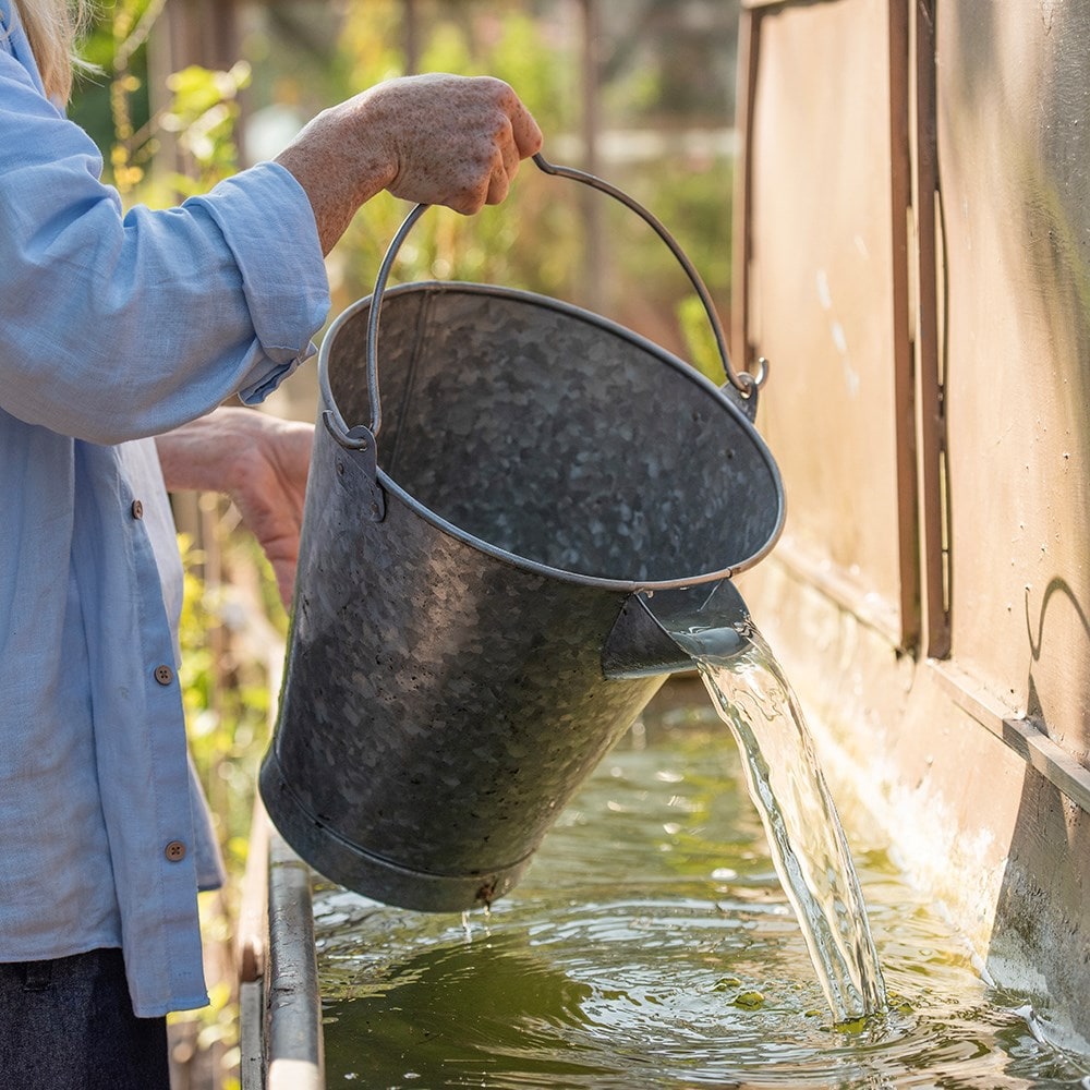 Dip watering bucket