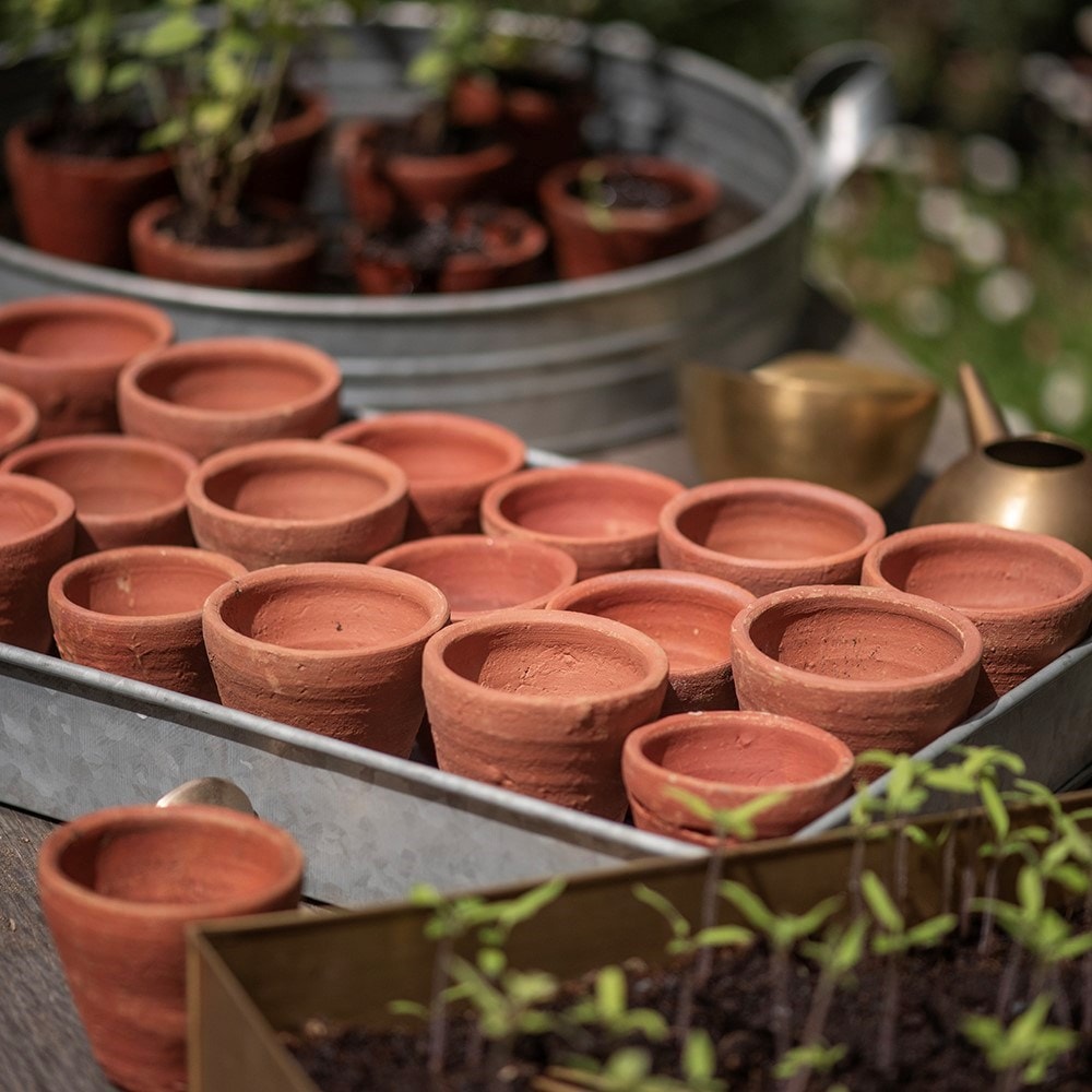 Terracotta grow pots - set of 18 with tray