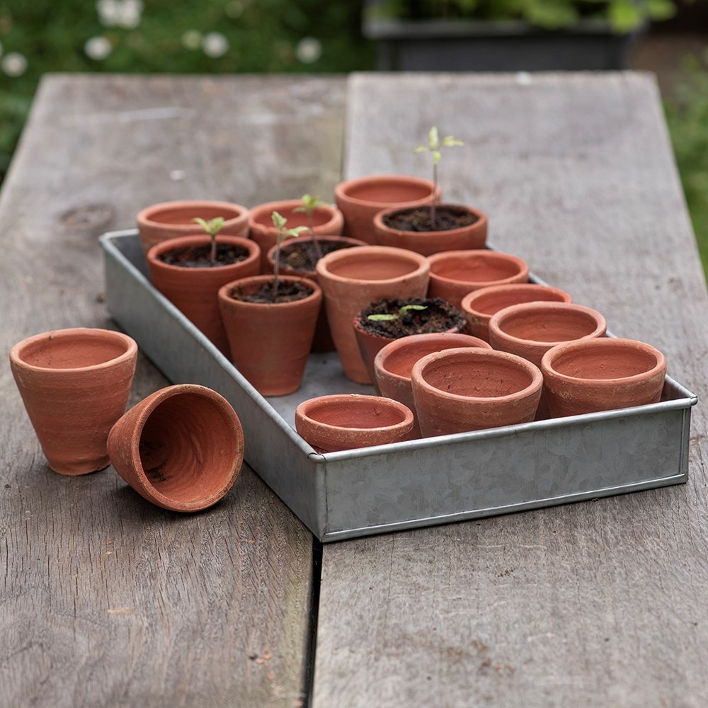Terracotta grow pots - set of 18 with tray