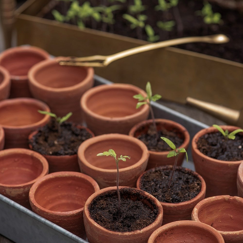 Terracotta grow pots - set of 18 with tray