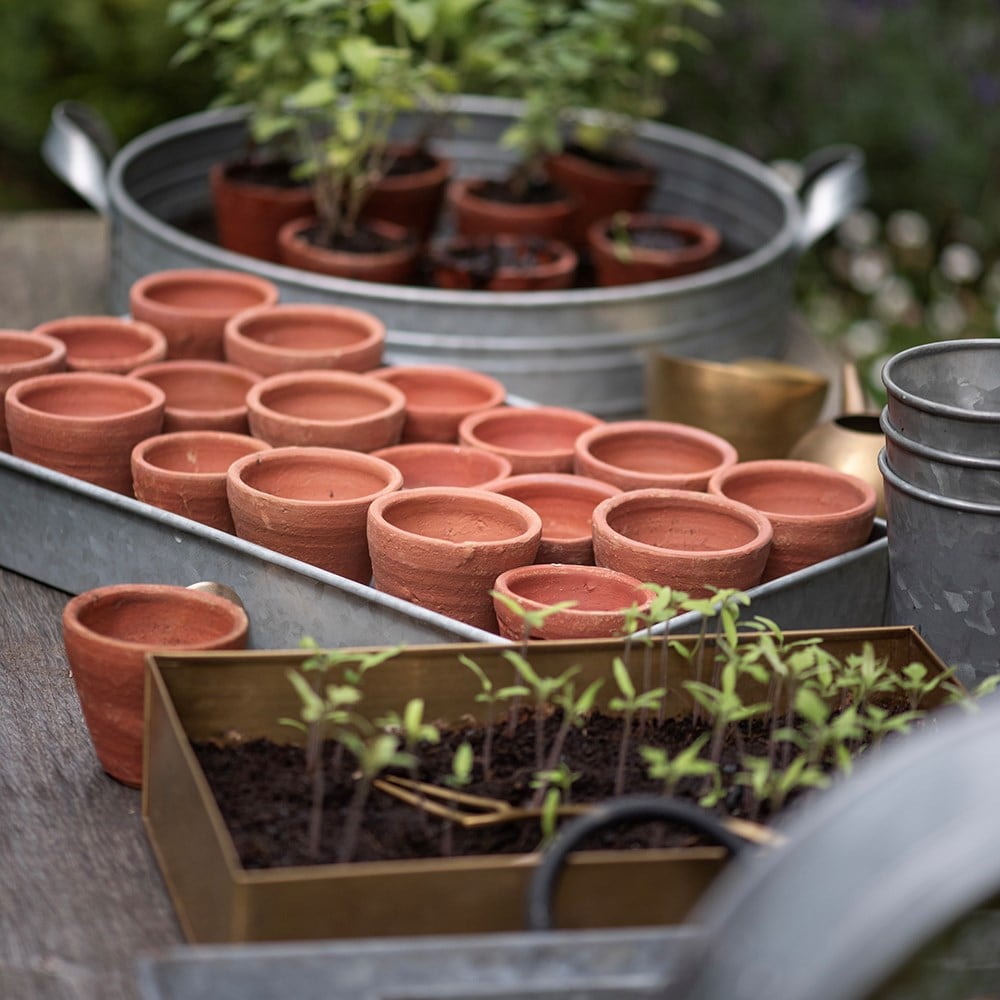 Terracotta grow pots - set of 18 with tray