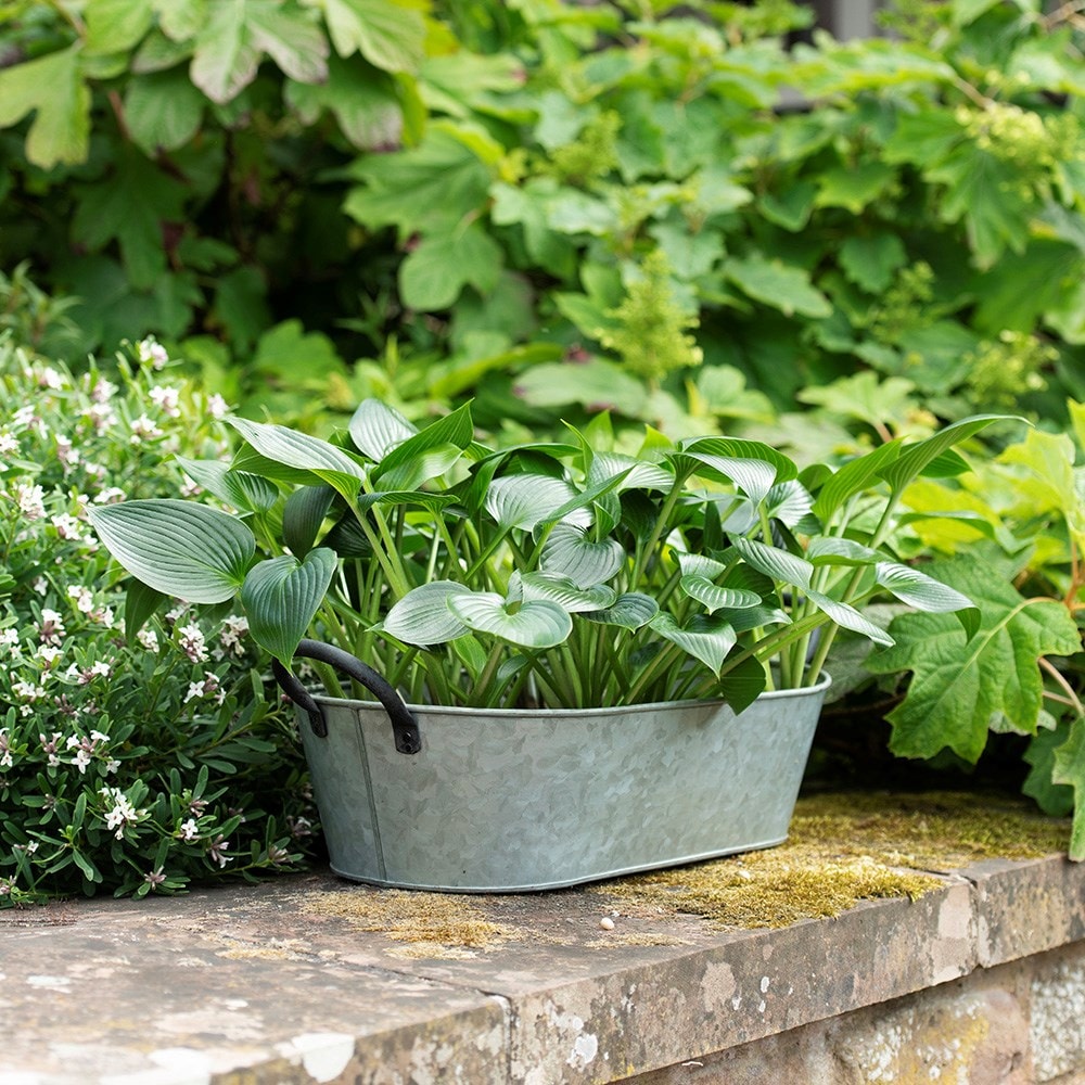 Trough with blackened handles