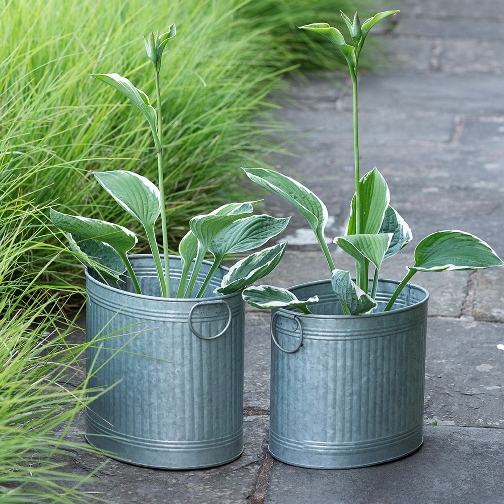 Oval ribbed planter set of two