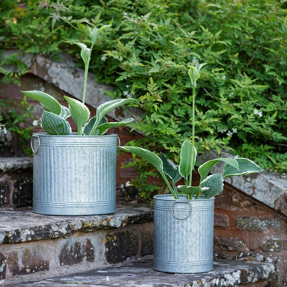 Oval ribbed planter set of two