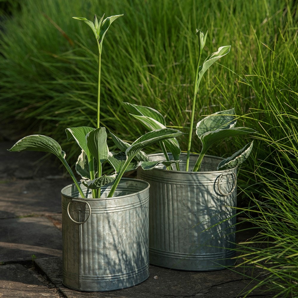 Oval ribbed planter set of two
