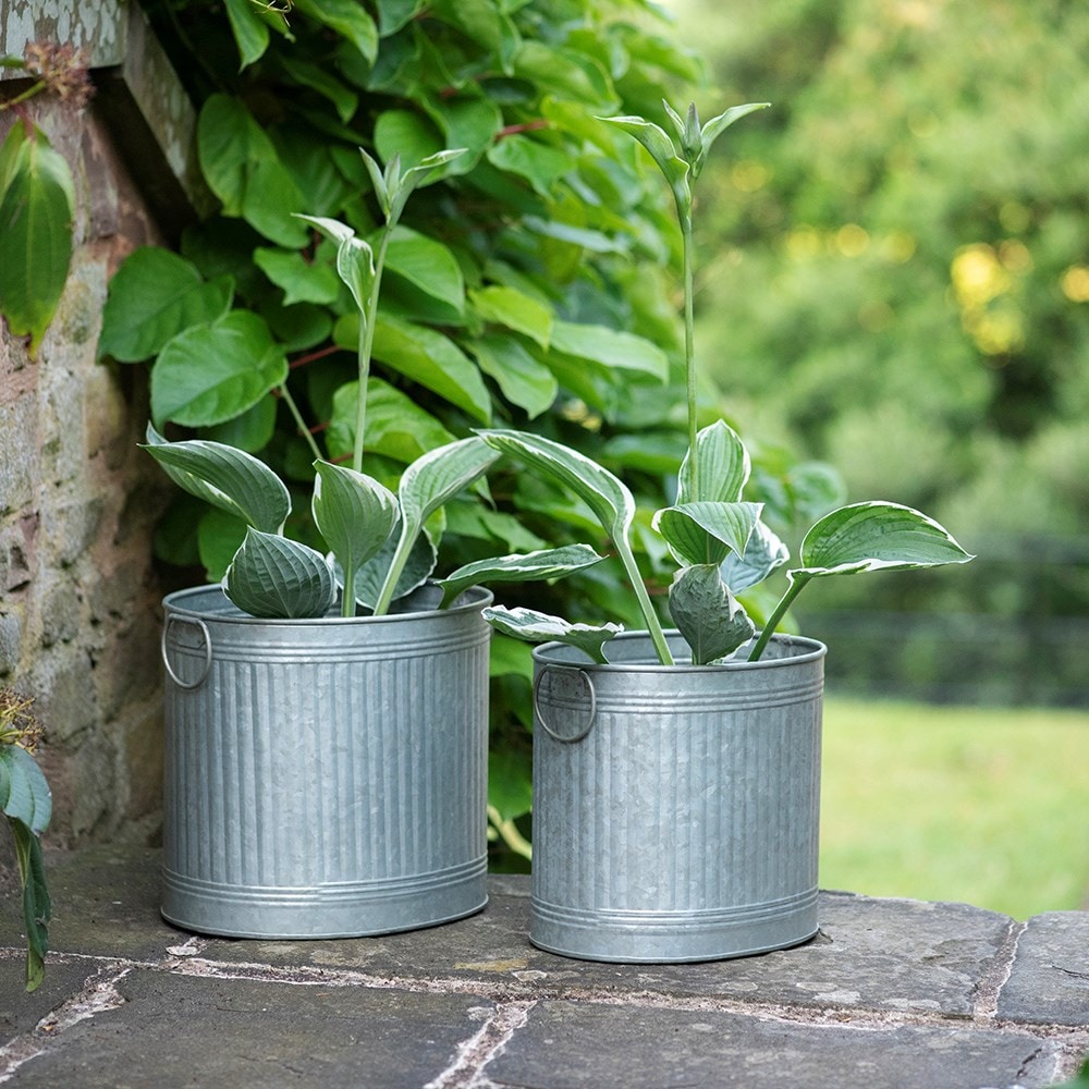 Oval ribbed planter set of two