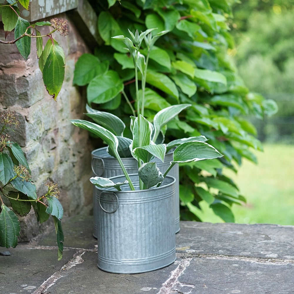 Oval ribbed planter set of two