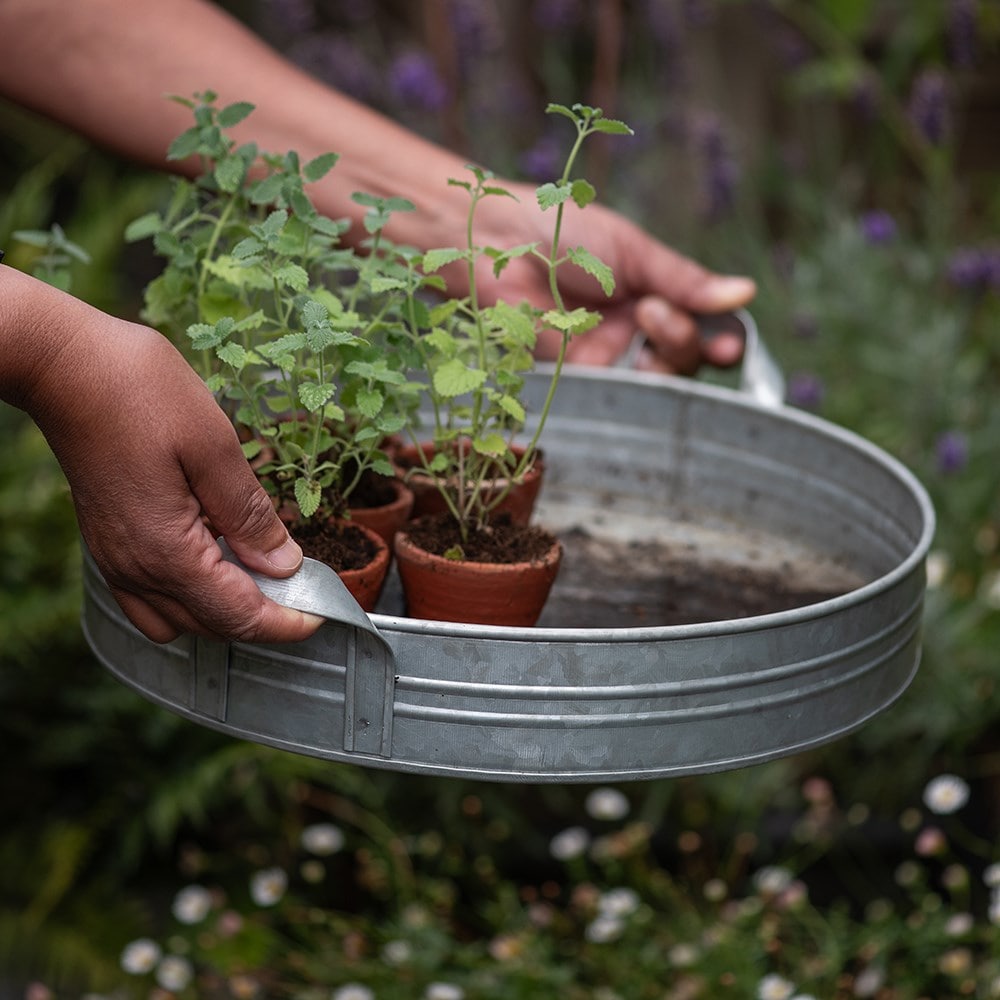 Galvanised metal tray