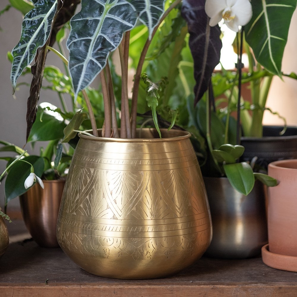 Traditionally etched brass pot - brushed