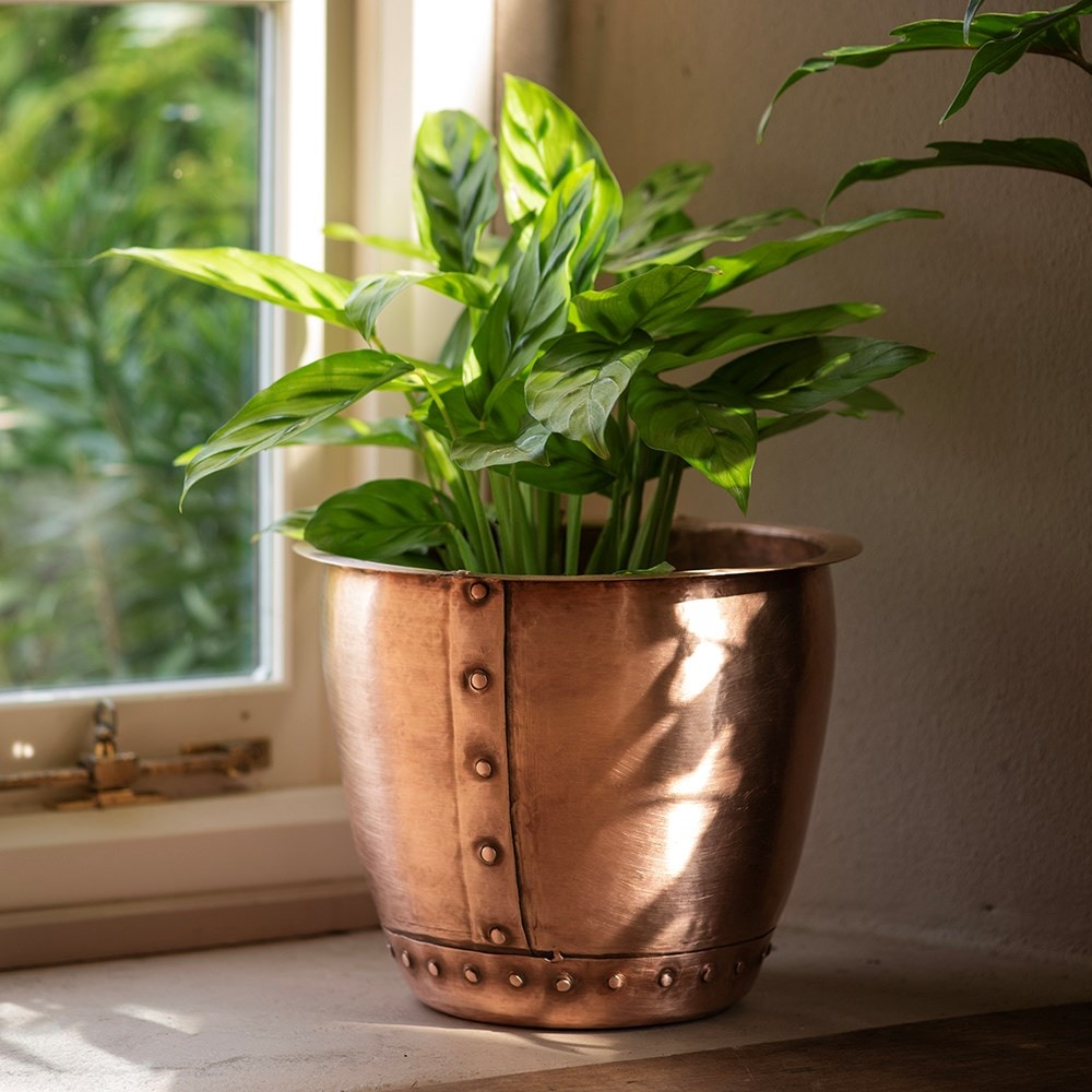 Riveted pot - brushed copper