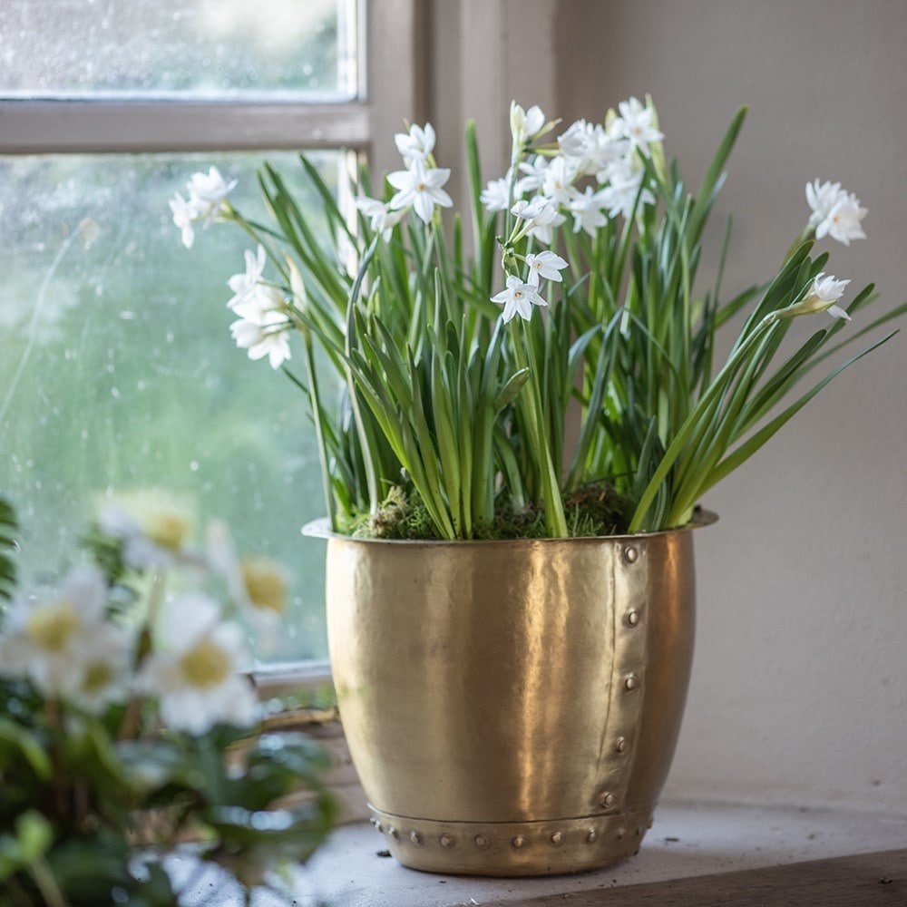 Indoor pots & accessories