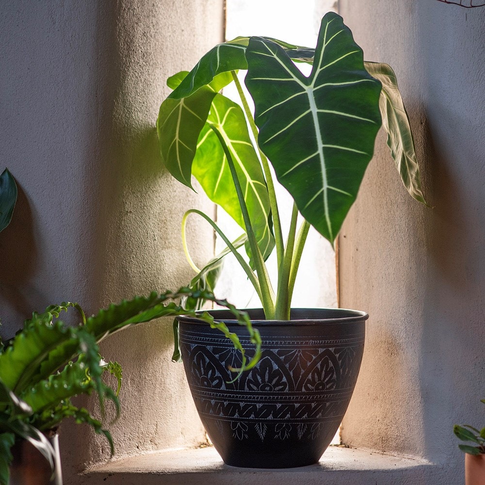 Traditionally etched black pot 