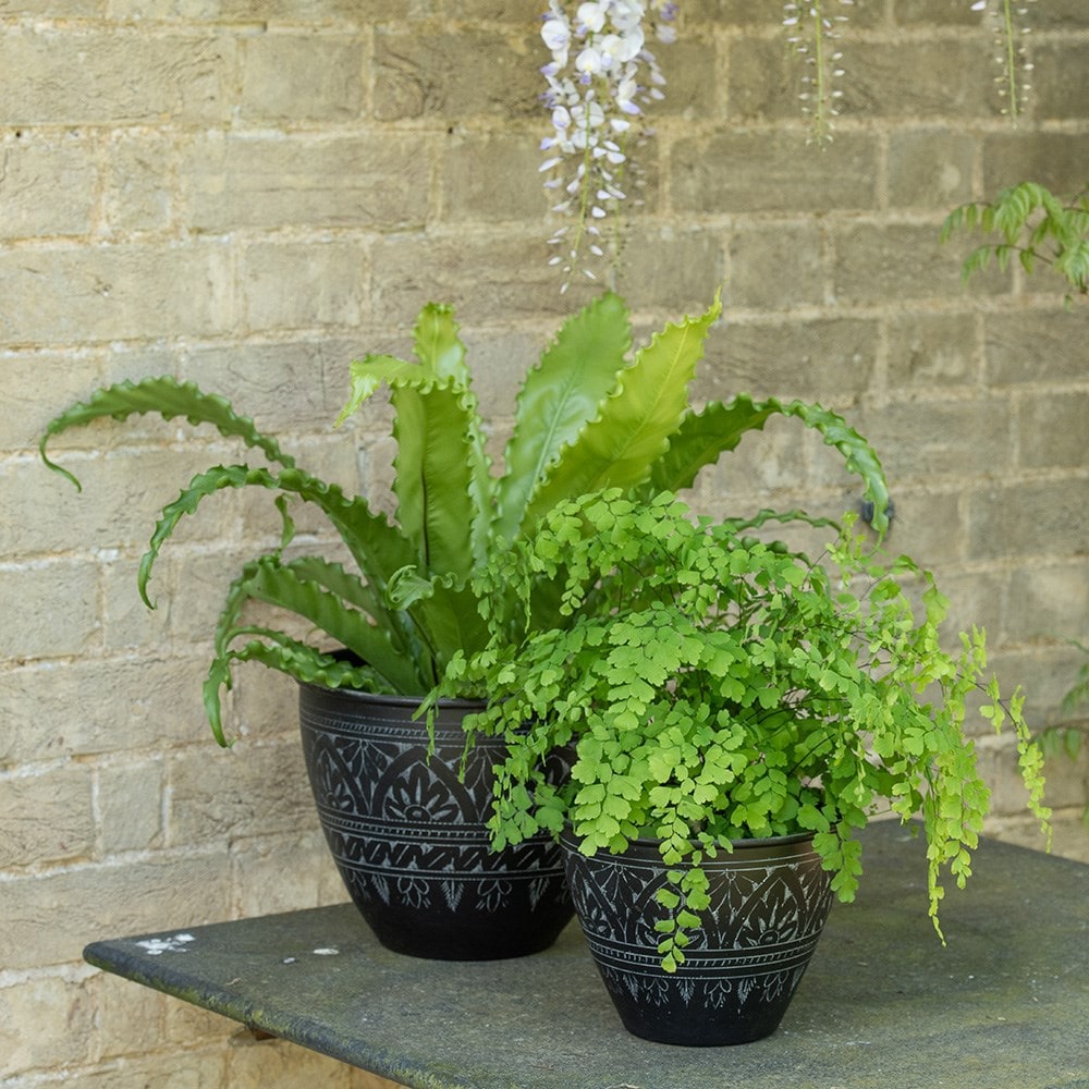 Traditionally etched black pot 