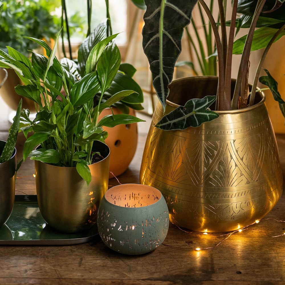 Etched lichen tealight holder