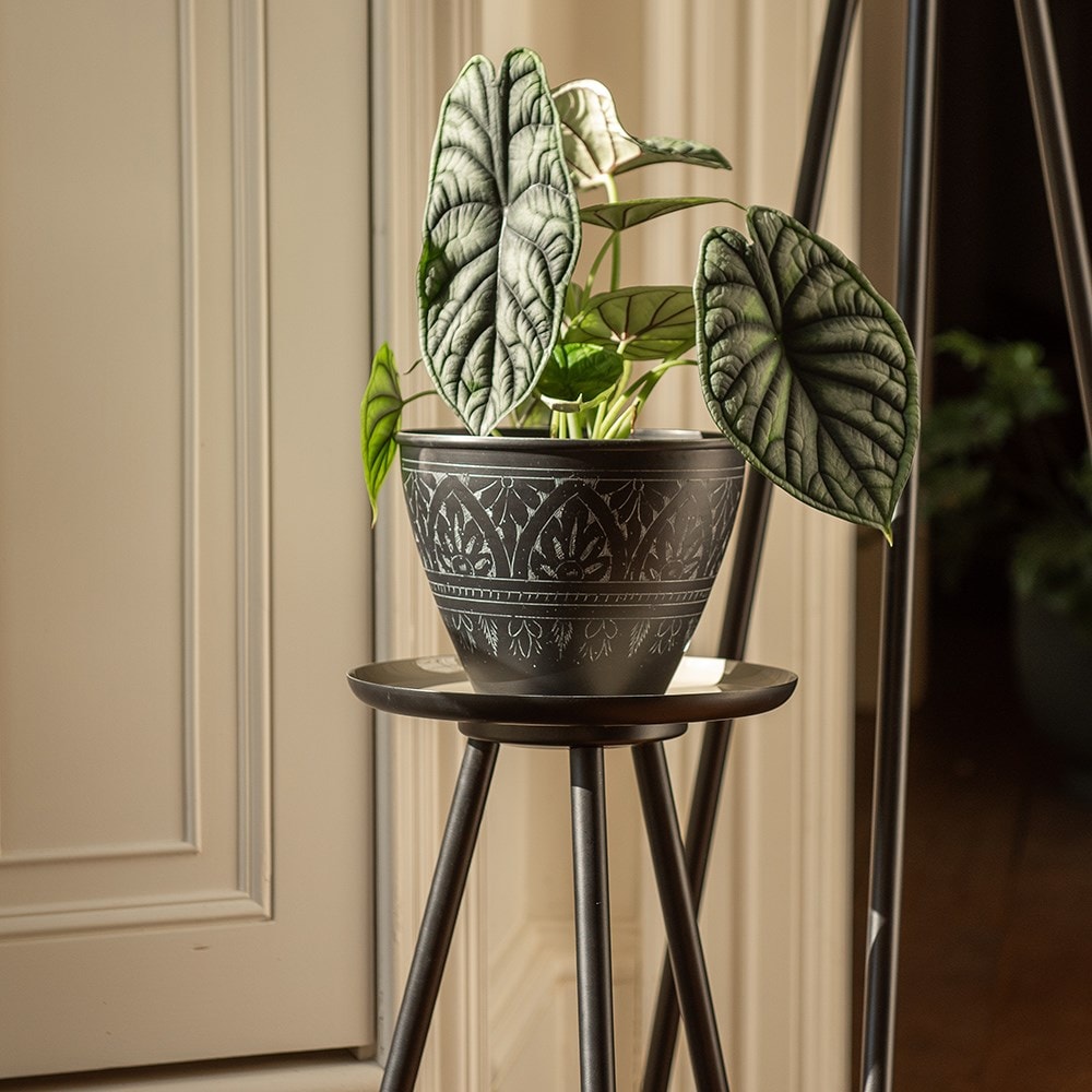 Pot pedestal with enamelled tray