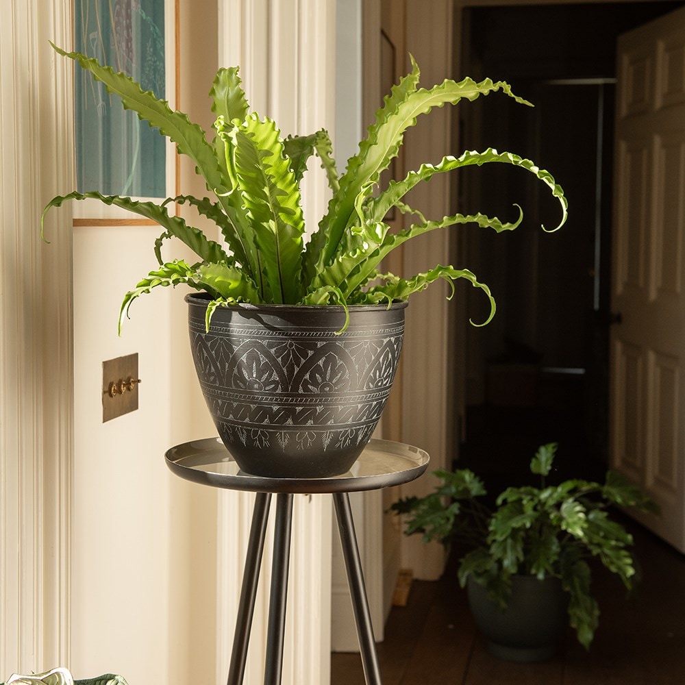 Pot pedestal with enamelled tray