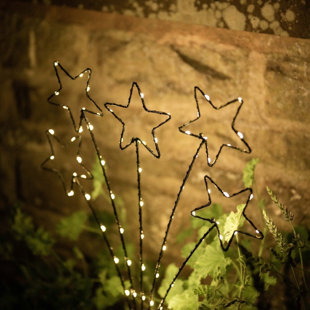 Shooting star stake