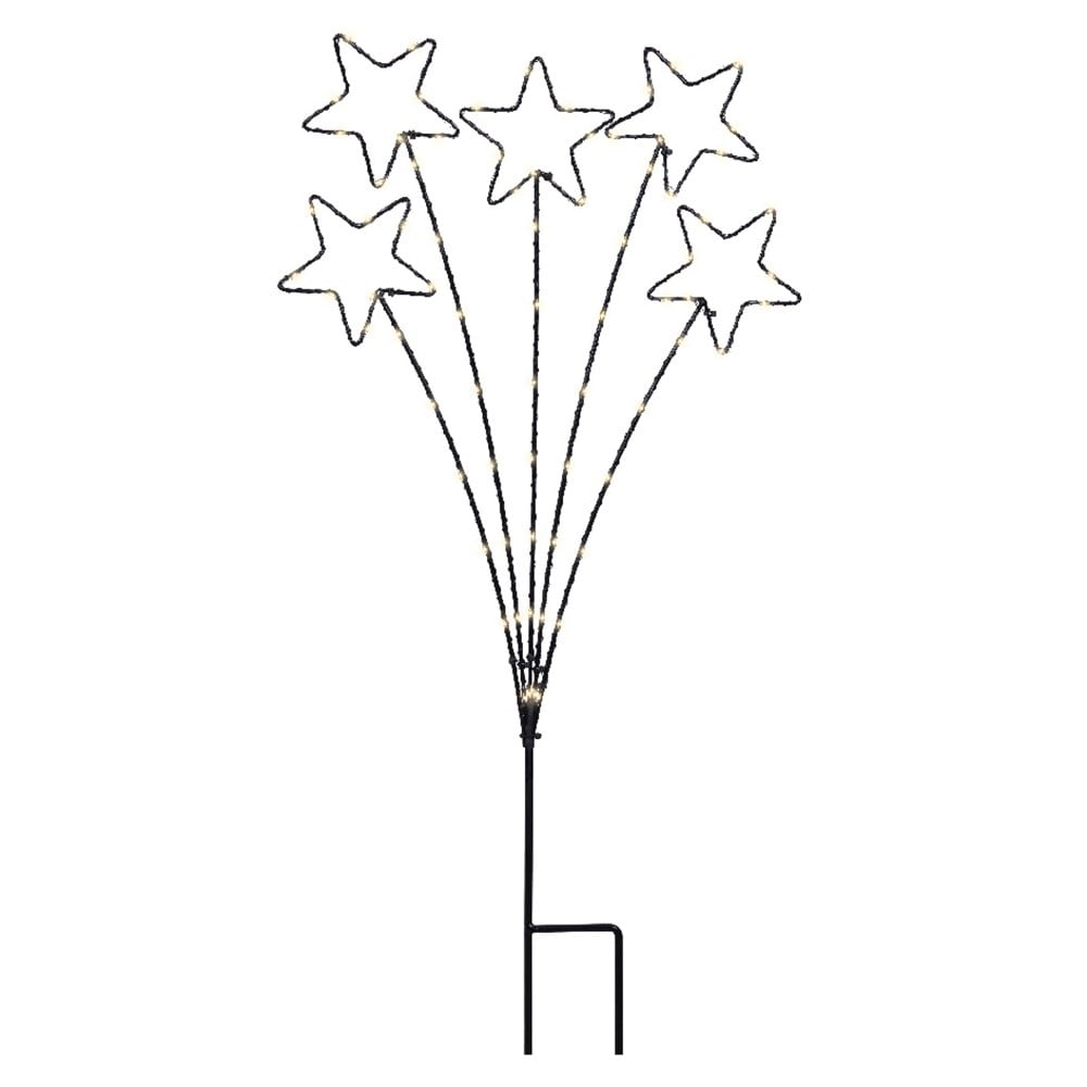 Shooting star stake