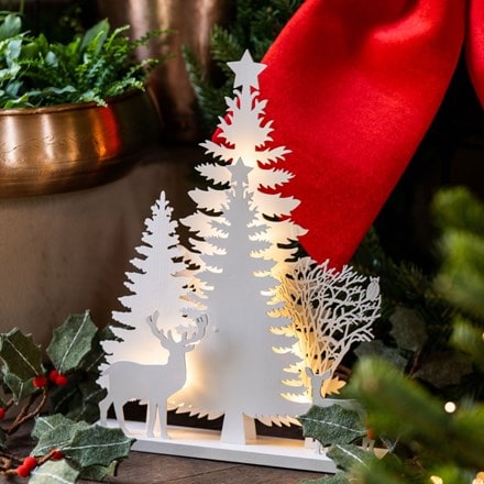 White lit forest scene
