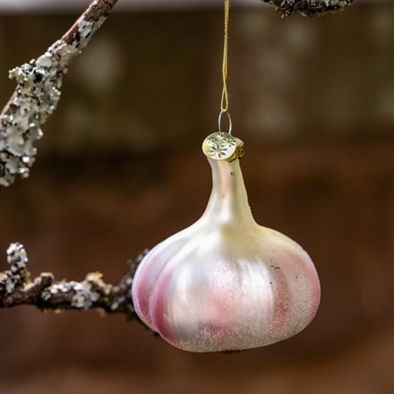 Glass garlic bulb