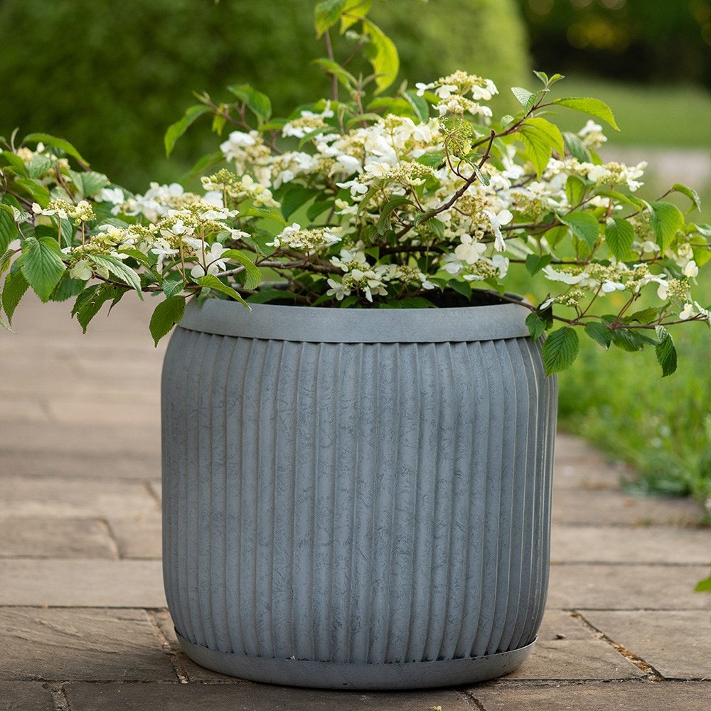 Tubby dolly tub - aged zinc