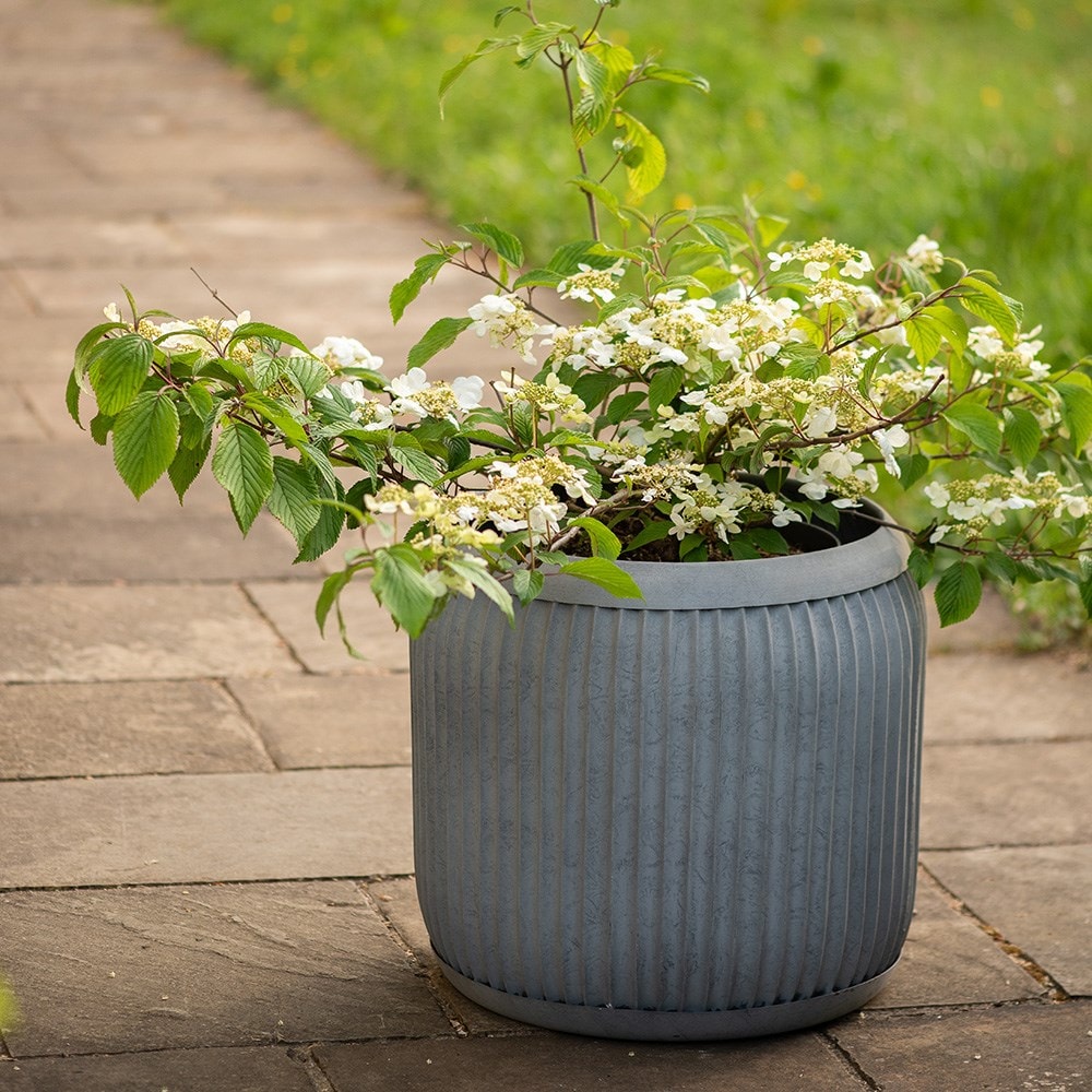 Tubby dolly tub - aged zinc