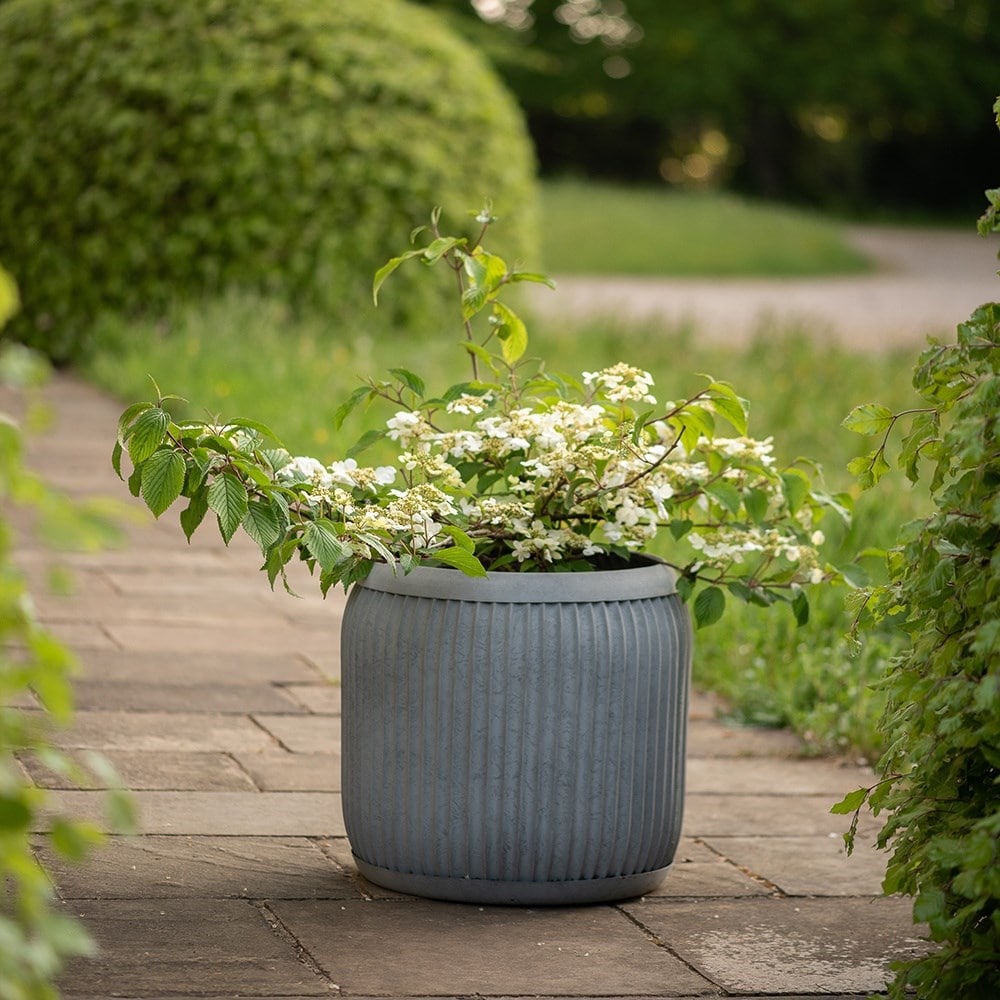 Tubby dolly tub - aged zinc