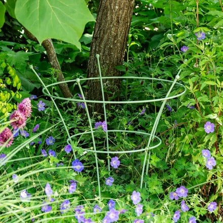 Peony plant support - light green