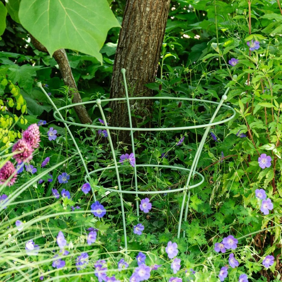 Peony plant support - light green 
