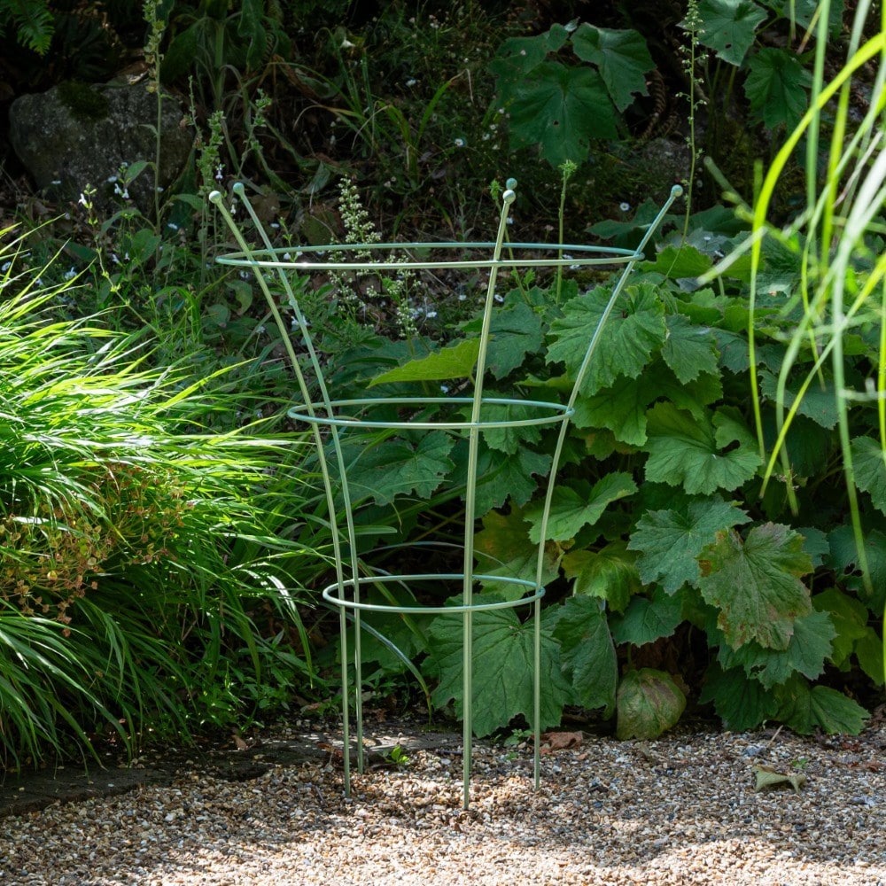Peony plant support - light green 