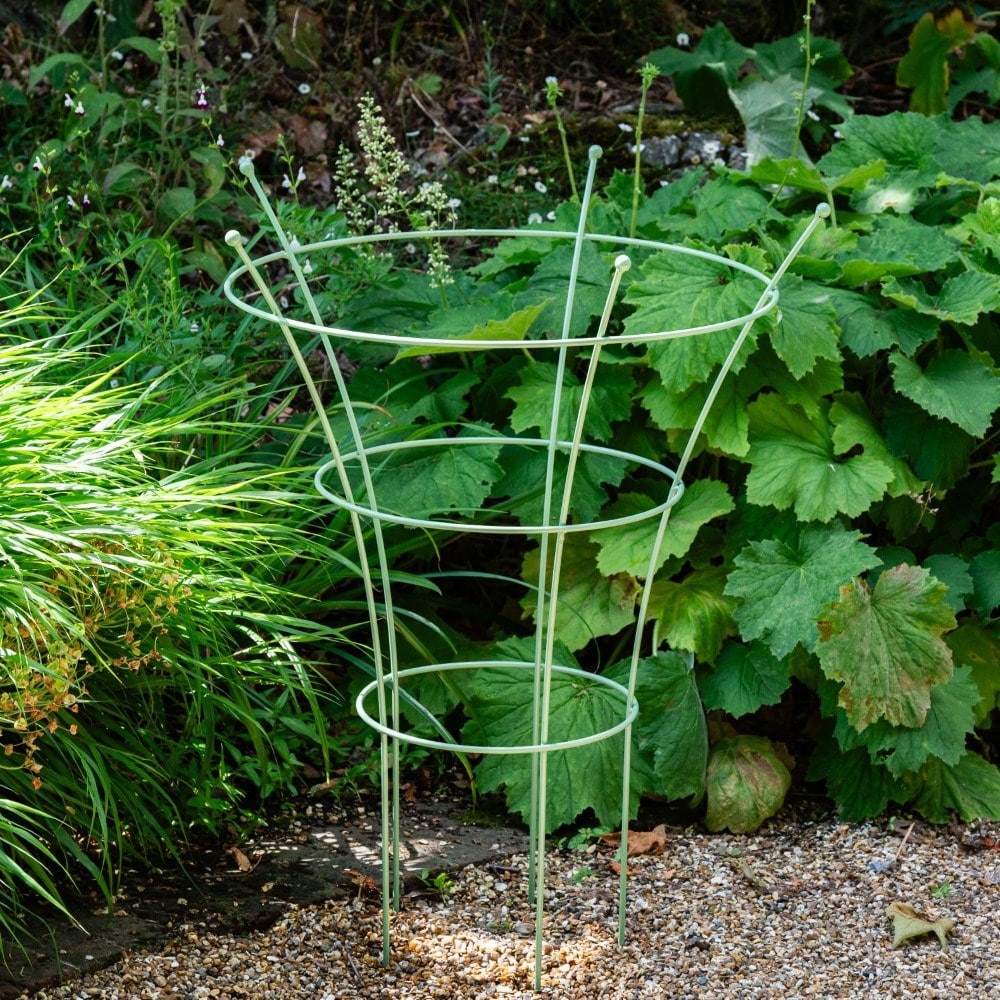 Peony plant support - light green 