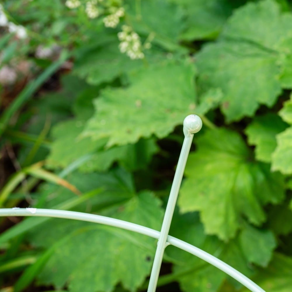 Peony plant support - light green 