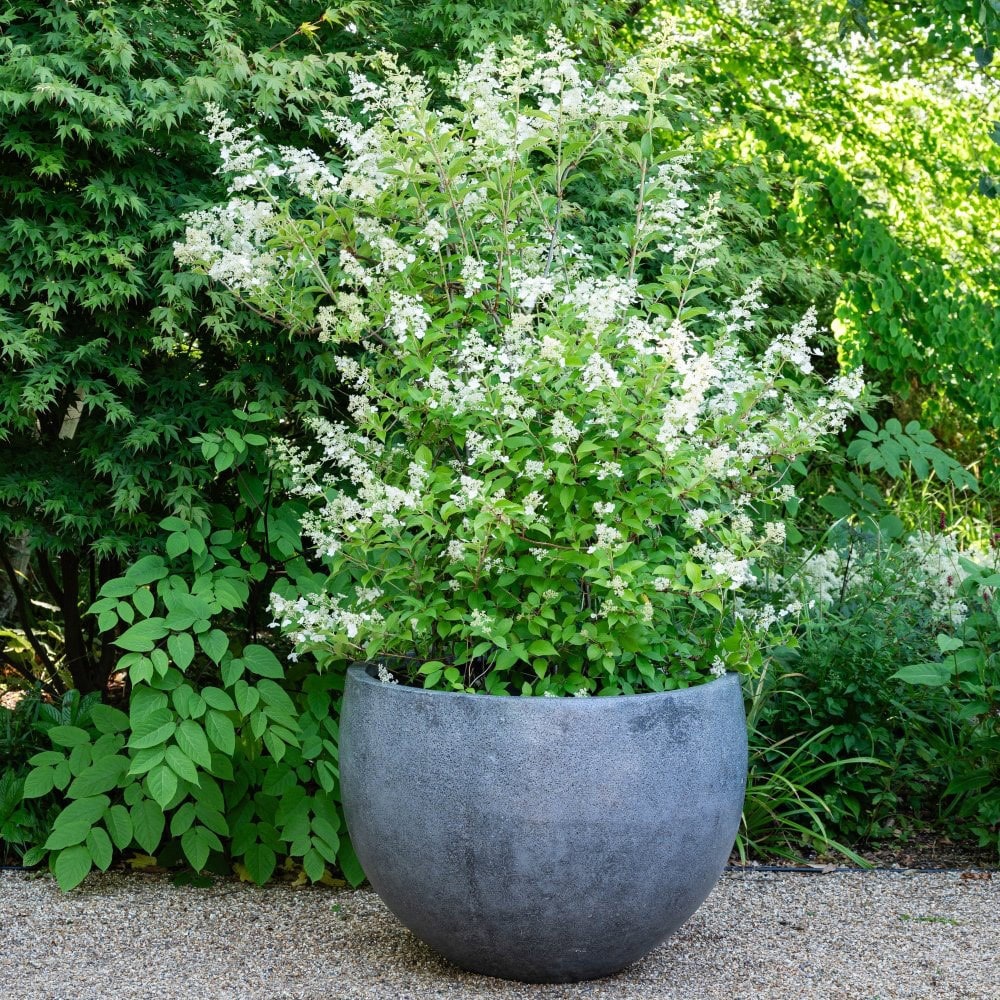 Globe planter - grey