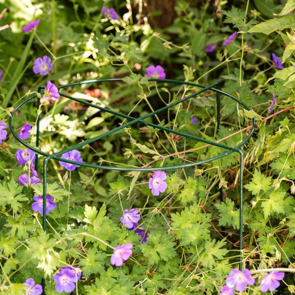 Product options image