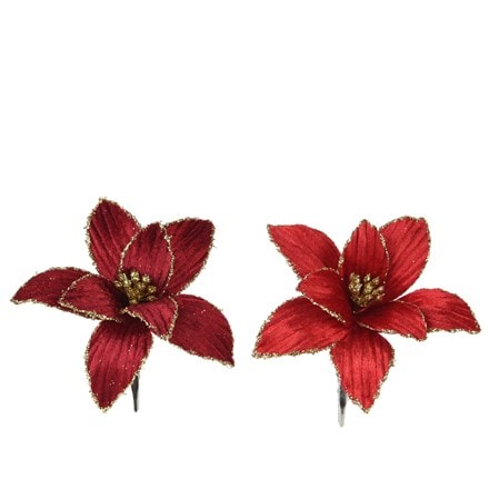 Two poinsettia clips