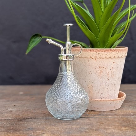 Houseplant mister - clear glass